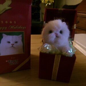 fancy feast 2003 never used ornament.